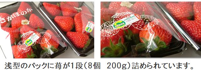 古賀農園無農薬イチゴ 「佐賀ほのか」&「紅ほっぺ」 浅い1段詰めのパック使用!