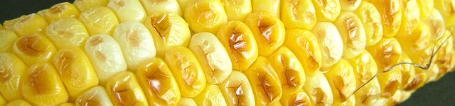 「古賀農園 無農薬栽培とうもろこし」で 焼きとうもろこし!