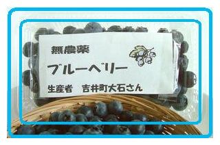 期間限定>!大石さんの国産無農薬フレッシュブルーベリー