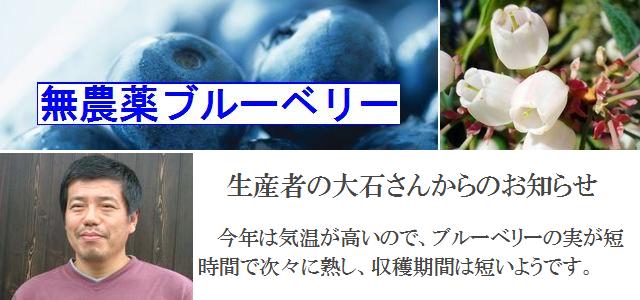 ���ָ��ꡪ���Ф���ι�̵�����ե�å���֥롼�٥꡼