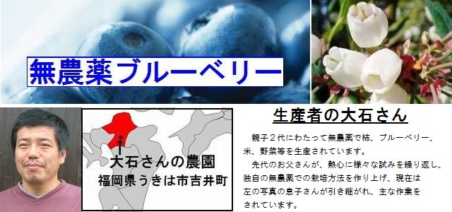���ָ��ꡪ���Ф���ι�̵�����ե�å���֥롼�٥꡼
