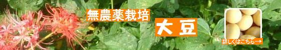 古賀農園 国産無農薬栽培大豆