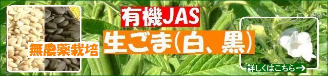 古賀農園 安心畑の元気な国産無農薬栽培有機JAS生胡麻 2009年10月収穫!(白ごま、黒ごま)