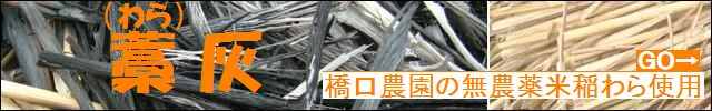 橋口さんの無農薬米の稲わらで作った「藁(わら)灰」わらび等の灰汁抜き用!
