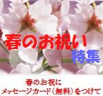 春のお祝いに古賀農園の無農薬栽培イチゴ!