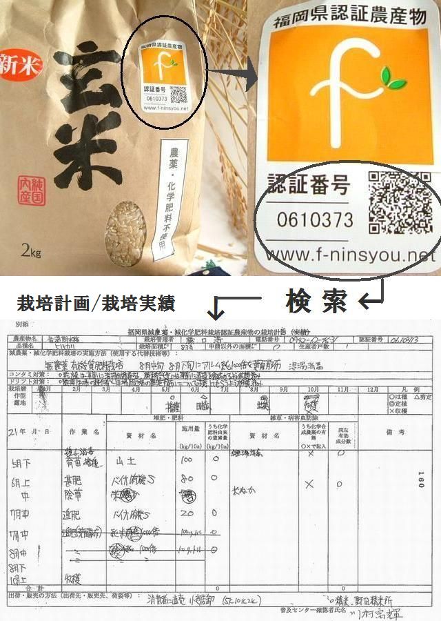 福岡県認証農産物 「Fマーク」を取得している 橋口さんの無農薬栽培玄米夢つくし 栽培計画、栽培実績公開!いつでも閲覧可能!!