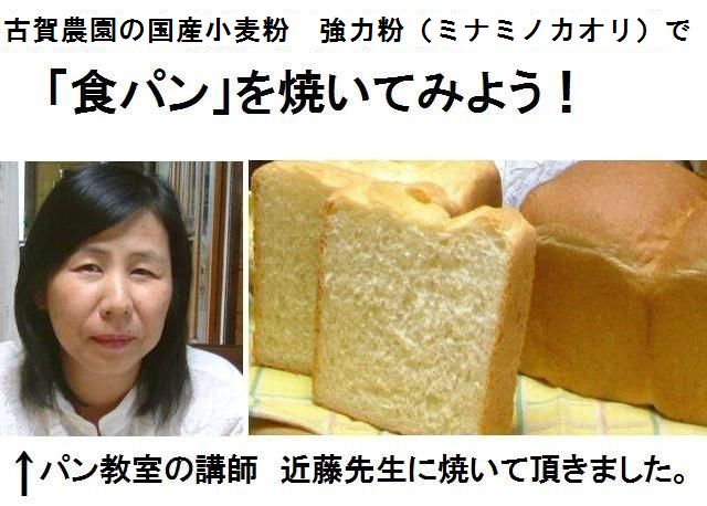 �ѥ󶵼��ιֻդζ�ƣ�����˸Ų�����ι񻺾���ʴ������ʴ�ʥߥʥߥΥ�����ˤ�Ȥäơֿ��ѥ�פ�Ƥ��Ƥ��������ޤ�����
