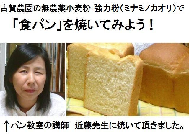 パン教室の講師の近藤先生に古賀農園の無農薬栽培小麦粉 強力粉(ミナミノカオリ)を使って「食パン」を焼いていただきました。