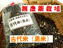 2008年産 無農薬栽培 黒米!