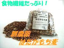 古賀農園特製 無農薬はだかもち麦