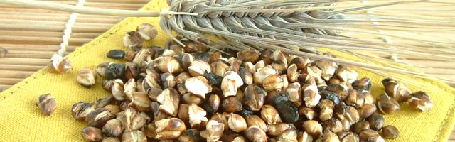 古賀農園 国産無農薬栽培もち麦使用 農家の手作り麦茶