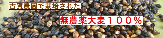 強い香ばしさがくせになる 古賀農園国産無農薬大麦使用 手作り麦茶
