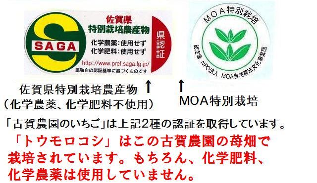 古賀農園の苺畑は佐賀県の特別栽培農産物(化学肥料不使用、化学農薬不使用)とMOAの特別栽培の認証を取得しています。