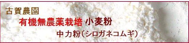 古賀農園 国産無農薬栽培小麦中力粉 シロガネコムギ