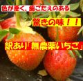 ������̵�������������������������Τ������������Ｑ���Ҥä����֤�ֶä���̣��