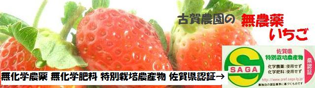 �Ų����ࡡ̵������ �������ۤΤ�