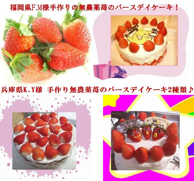 古賀農園の無農薬栽培いちごをたっぷり使った!苺ケーキ