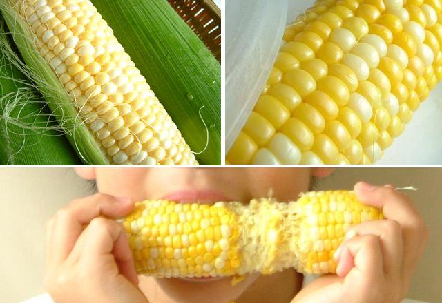 古賀農園の「無農薬とうもろこし」ただいま販売中!!思わず笑みがこぼれる美味しさ