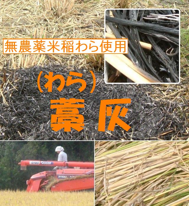 橋口さんの無農薬米の稲わらで作った「藁(わら)灰」わらび等の灰汁抜き用!