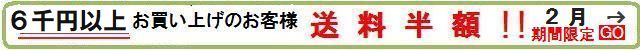 送料半額キャンペーン 2月1日~28日期間限定 購入金額6千円以上のお客様送料半額!