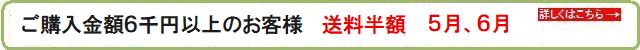 5、月6月 ご購入金額6千円以上のお客様 送料半額!