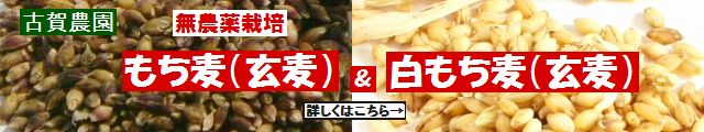 古賀農園 国産(佐賀県産)無農薬栽培紫もち麦(玄麦)と白もち麦(玄麦)