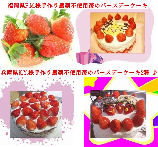 古賀農園の無農薬栽培いちごをたっぷり使ったお客様手作り苺ケーキ！！