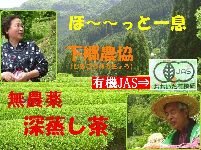 下郷農協 有機JAS 無農薬深蒸し煎茶