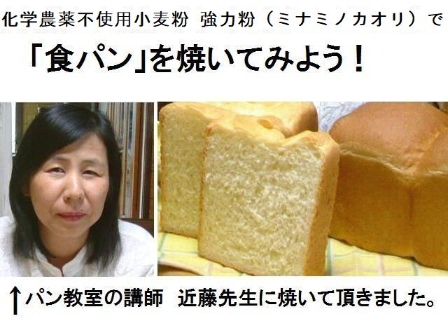パン教室の講師の近藤先生に古賀農園の無農薬栽培小麦粉　強力粉（ミナミノカオリ）を使って「食パン」を焼いていただきました。