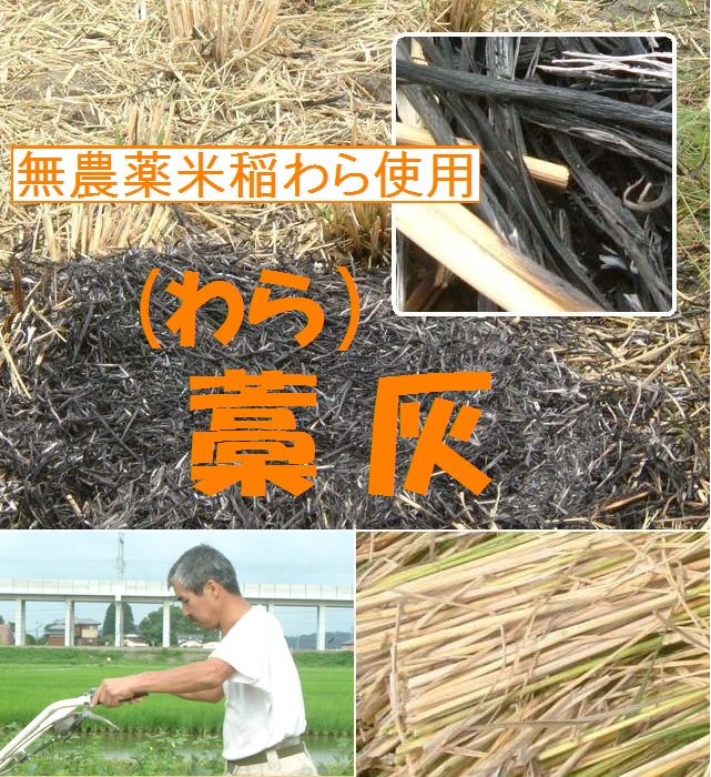 古賀農園 佐賀県 の有機栽培米の稲わらで作った 藁 わら 灰 ３０ｇ わらび等の灰汁抜き用 無添加食品 自然食品 自然食品通販サイト 無添加食品や