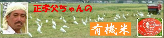 佐賀県産　有機JAS　無農薬栽培　有機米　玄米　精白米